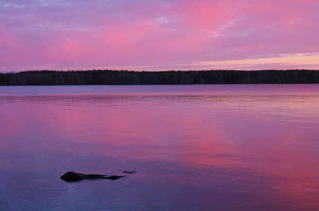 Aamurusko Järvelän rannassa