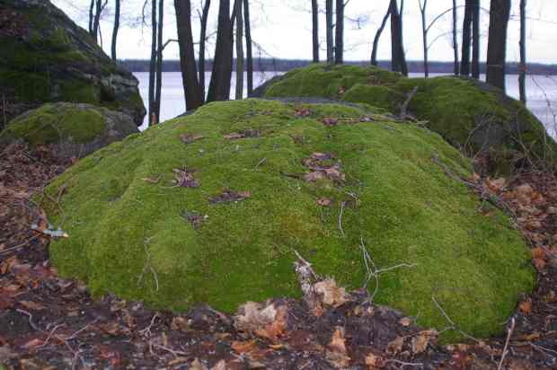 Järvelän ympäristöä