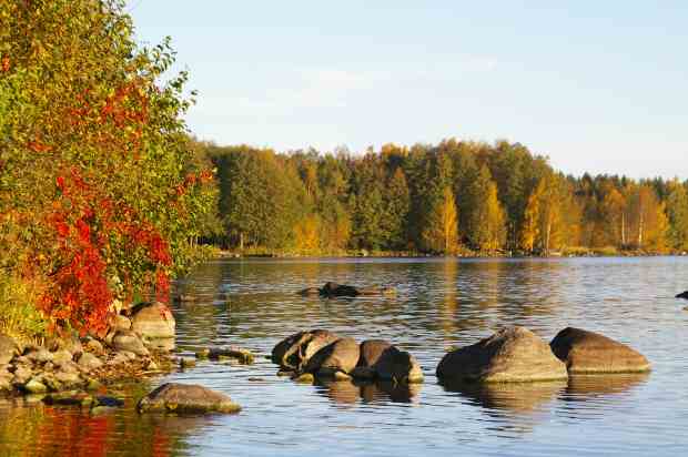 Autumn view from the shoreline of Järvelä