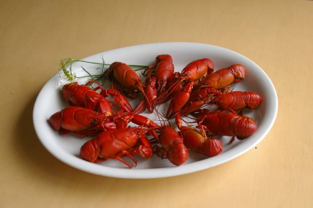 Cray fish party at Järvelä