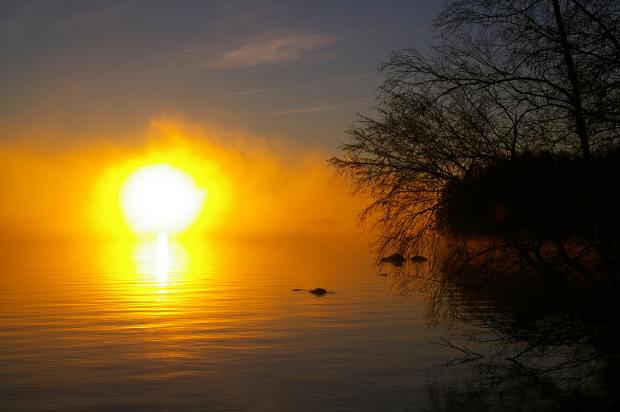 Early morning in autumn