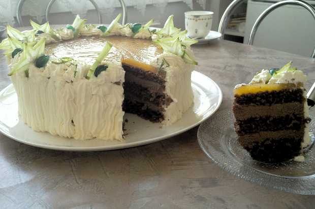 Chocolate and orange cream cake