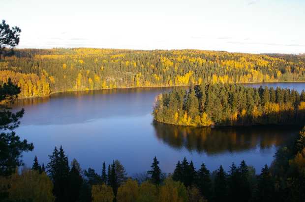 View from the top of Aulangon Näkötorni (viewing tower of Alanko Park, Hämeenlinna)
