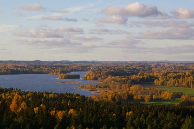 View from the top of Aulangon Näkötorni (viewing tower of Alanko Park, Hämeenlinna)
