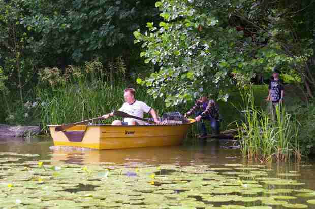 Row boats are available for use