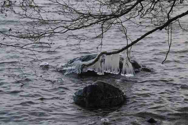 Icicles by the lake