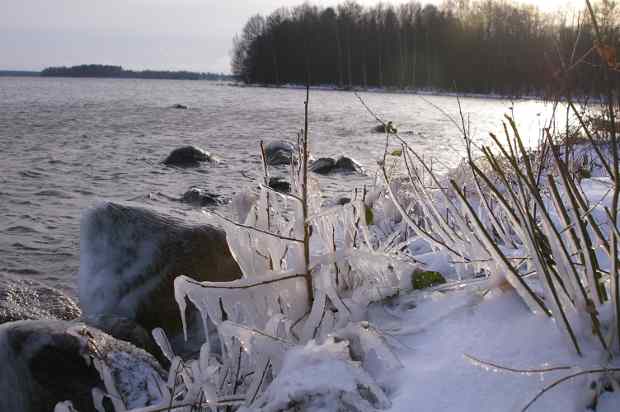 Iced shoreline