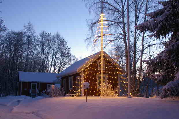 Christmas tree of light